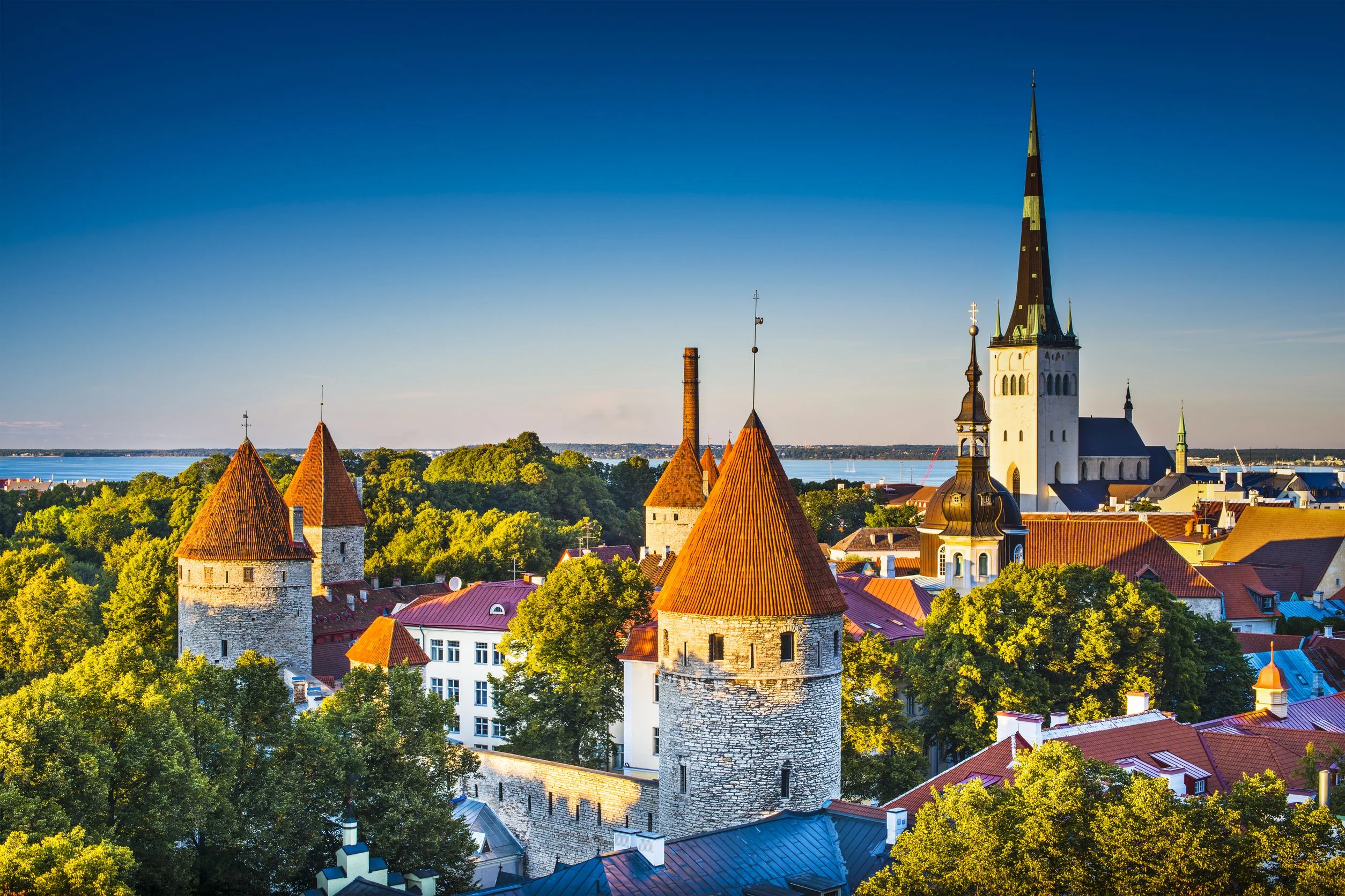 Tallinn Old Town Tour image
