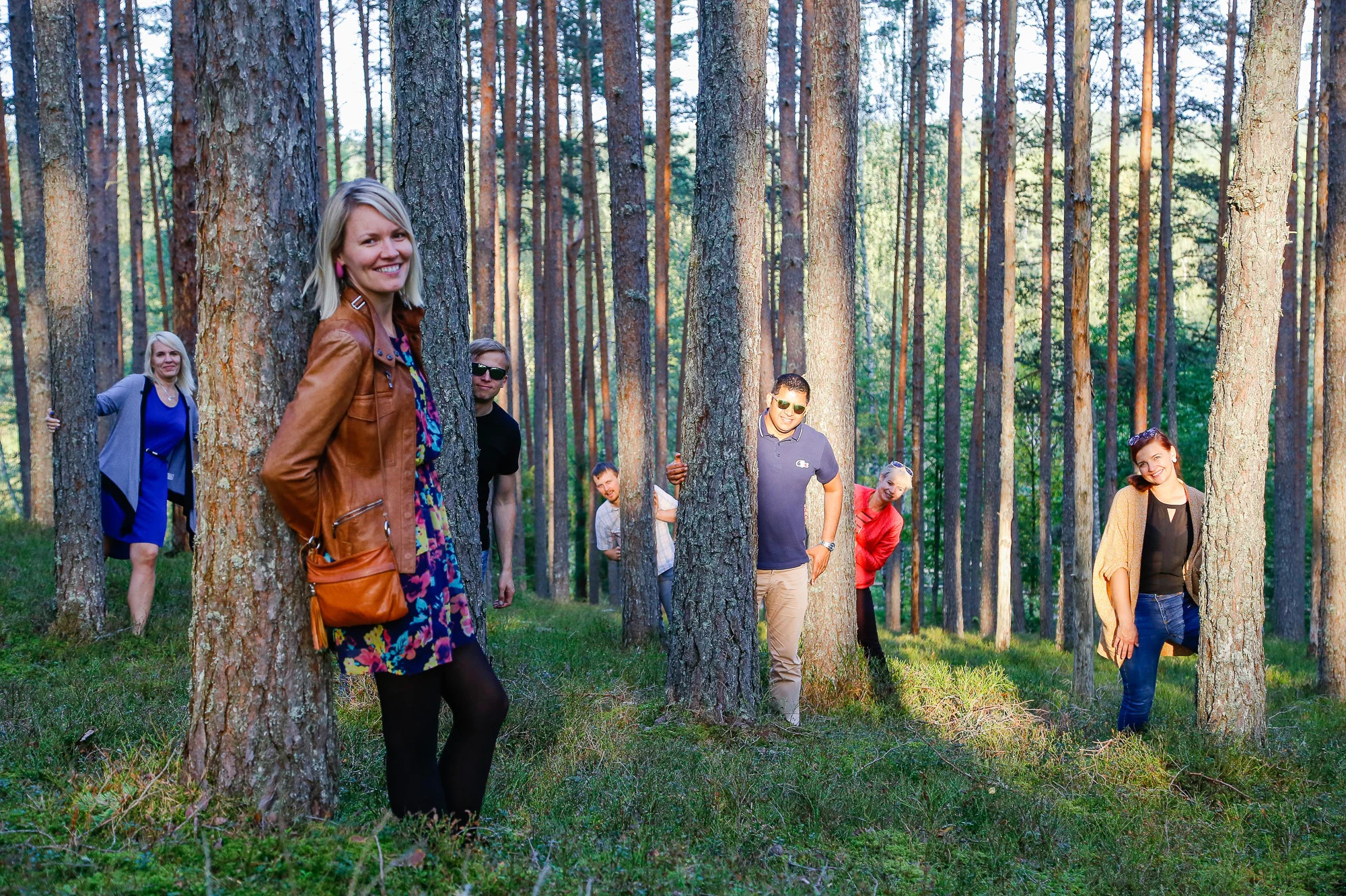 Pinetree forest at Sietiņiezis in the Gauja National Park Tour image